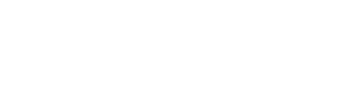 Fighters.ge